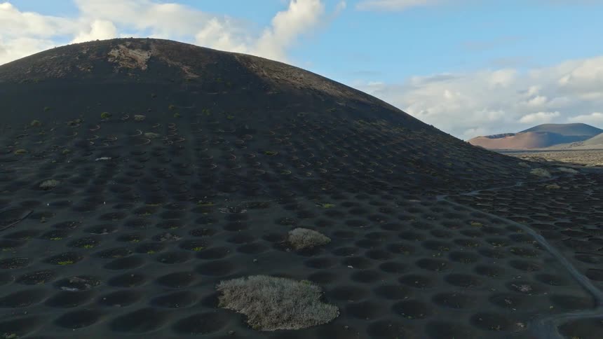 Ascending aerial view reveals the otherworldly volcanic vineyards of La Geria, Lanzarote, where vines grow in unique pits in the black soil