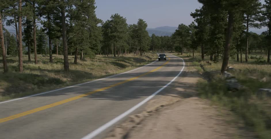 A car drives on a road that is surrounded by trees