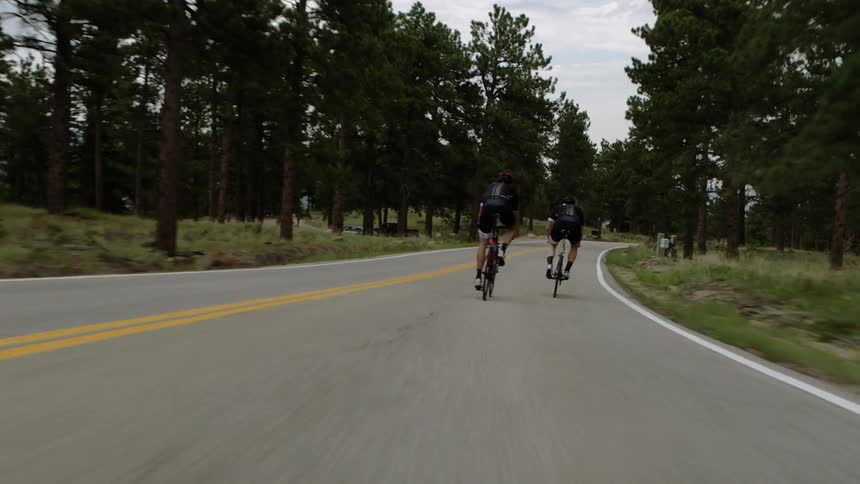 Bicyclists ride through a forested area