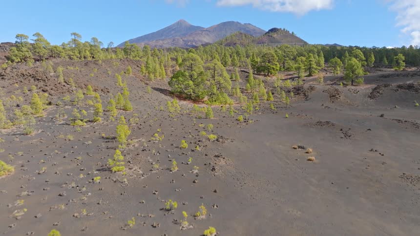 A slow reveal of the majestic Mount Teide volcano, starting from the dark volcanic soil and rising over a green pine forest in Tenerife