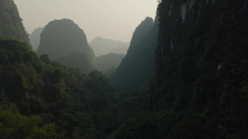 A mysterious, misty mountain valley is covered in a dense, dark green jungle
