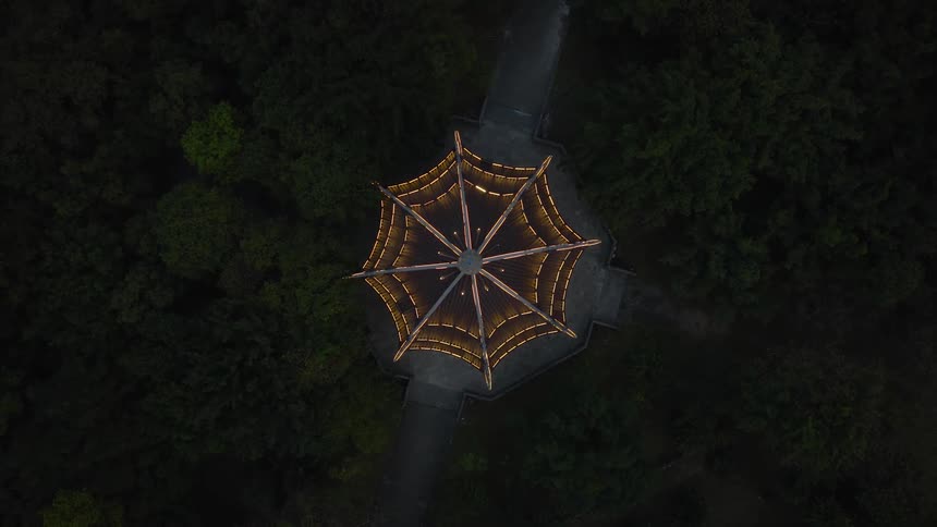 A stunning top-down aerial view of an illuminated octagonal pagoda glowing brightly in a dark, dense forest at night