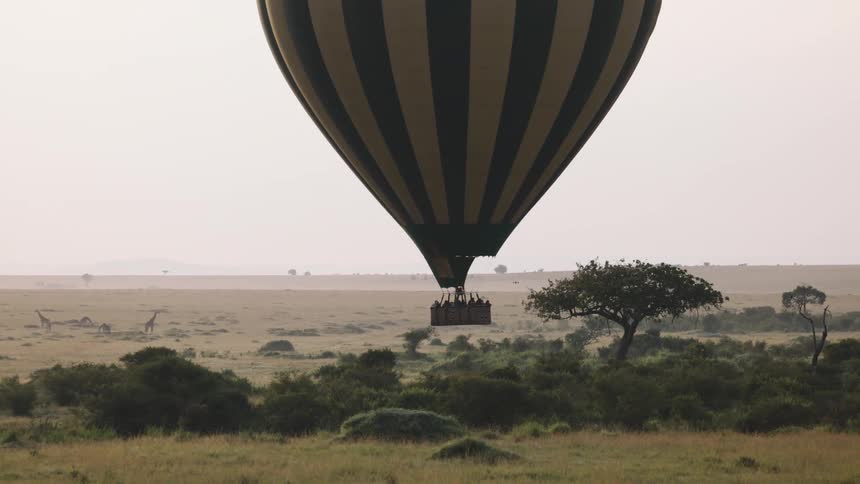 A hot air balloon safari with tourists hovers low over the African savanna with giraffes and a bird in the distance