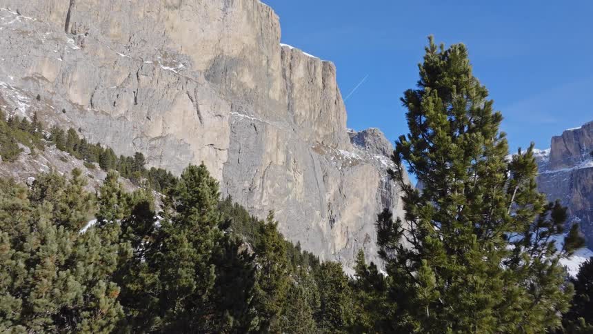 A slow tilt up from a pine forest reveals a sheer, rocky mountain cliff against a clear blue winter sky