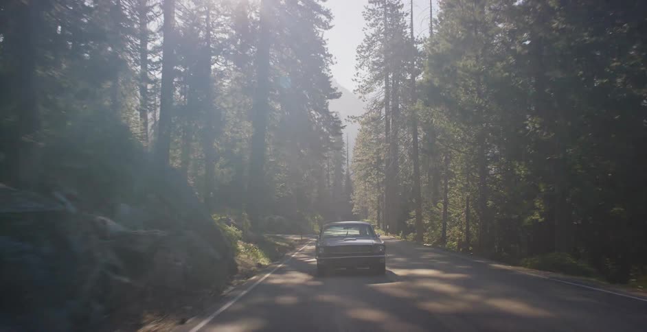 A classic muscle car drives on a winding mountain road through a majestic, sun-drenched pine forest