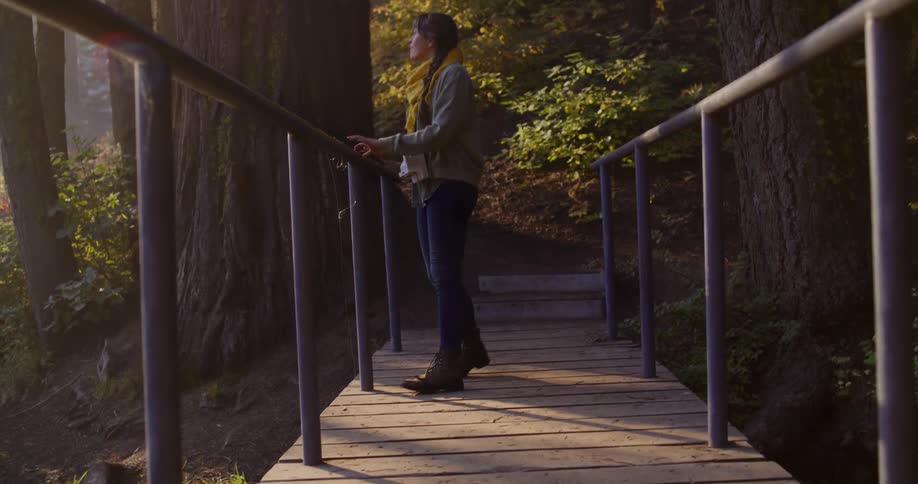 A young woman enjoys a moment of peaceful reflection on a bridge in a redwood forest as golden sunlight streams through the morning mist