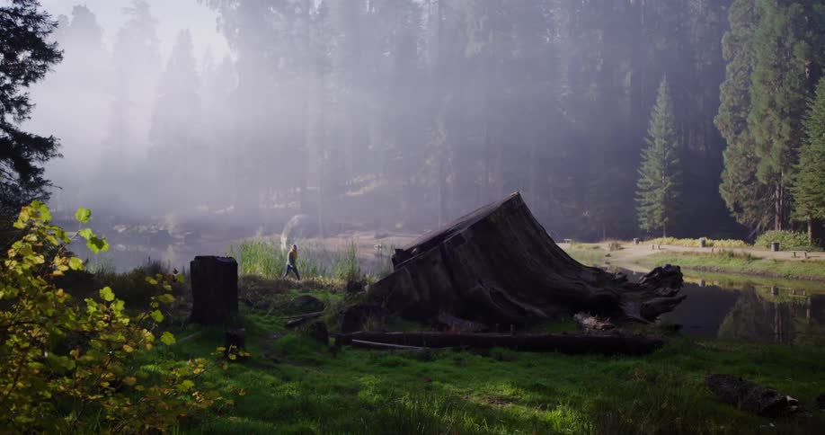 A lone hiker walks along the edge of a tranquil lake in a misty forest as sunbeams shine through the trees