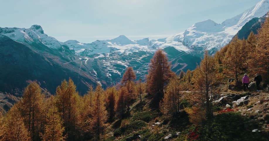 An aerial view captures hikers on a mountain trail amidst golden autumn trees, with the majestic snow-capped Alps revealed in the background