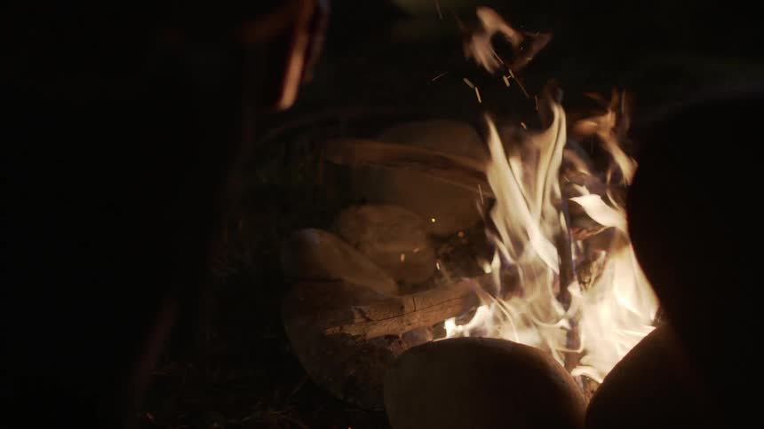 People sitting by a campfire at night