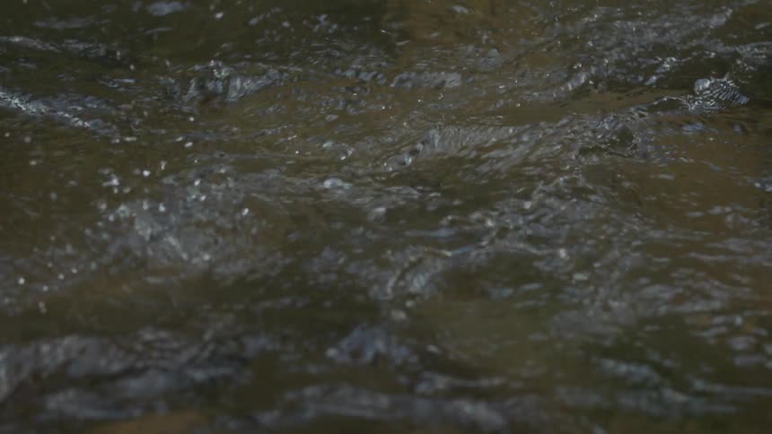 A fishing line is cast out and snapped back in a river
