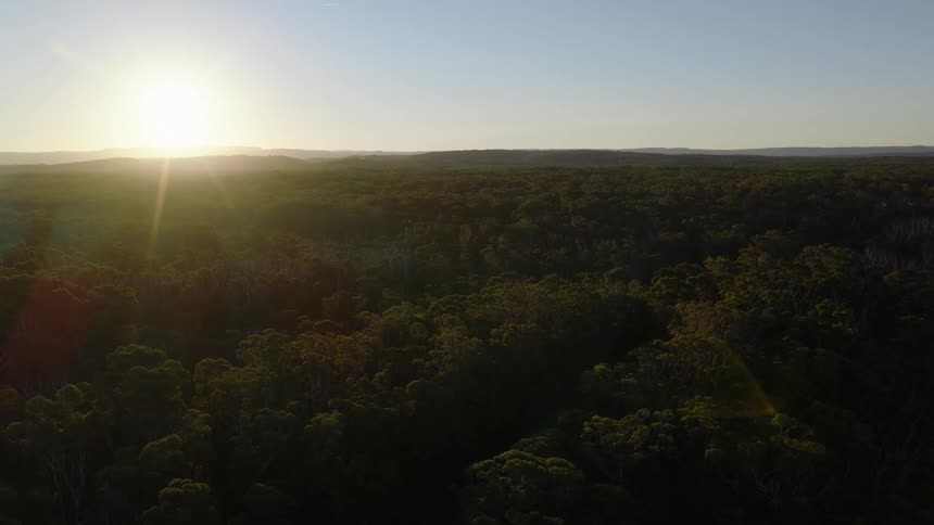 A slowly receding aerial view captures the sun's golden glow over a vast, dense forest at dusk