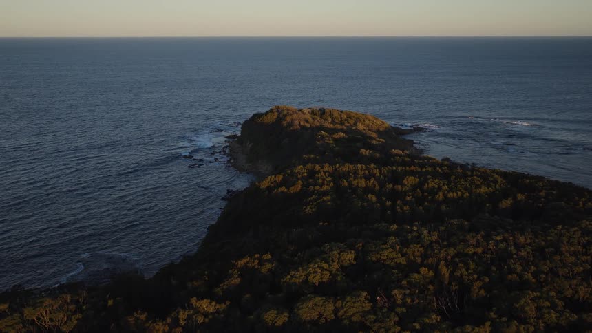 A static aerial view of a dense forest on a coastal headland bathed in the warm light of sunrise