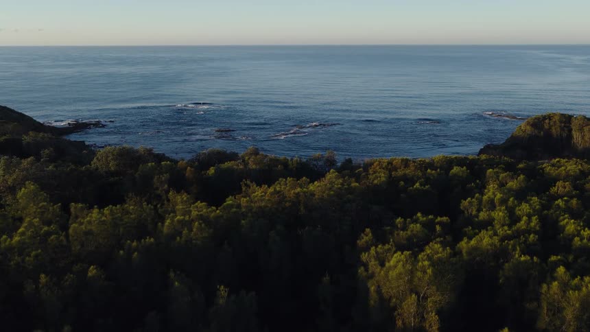 A tranquil, static aerial view shows a dense coastal forest meeting the calm blue ocean at sunrise