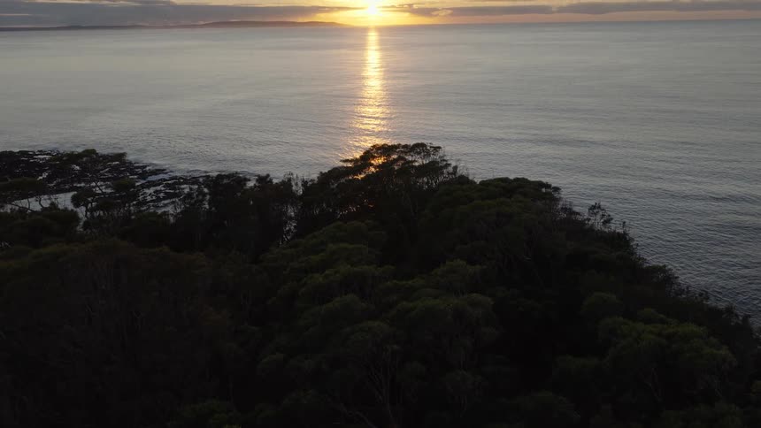 A slow aerial reveal of a beautiful golden sunrise over the calm ocean from behind a coastal forest