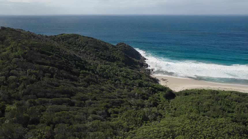 A tranquil aerial view shows a dense green forest covering a coastal hill next to a beautiful sandy beach and the blue ocean
