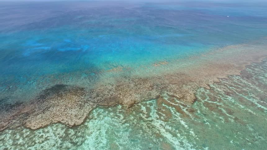 An expansive aerial view reveals a stunning coral reef system under the clear turquoise and deep blue ocean
