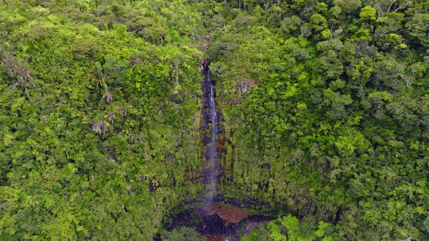 An aerial view slowly rises and tilts down over a beautiful waterfall hidden in a dense, vibrant green jungle