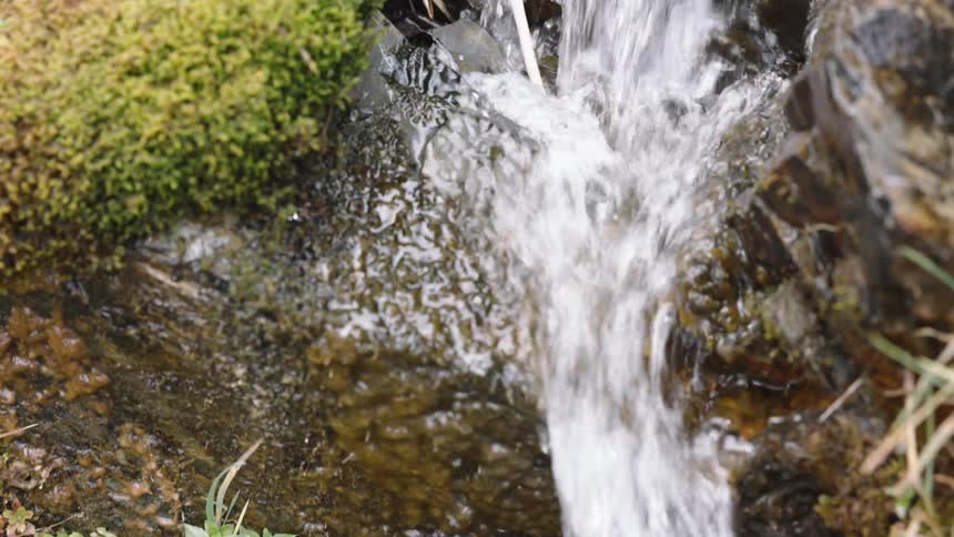 A slow-motion close-up of a tiny waterfall flowing over mossy rocks in a mountain stream