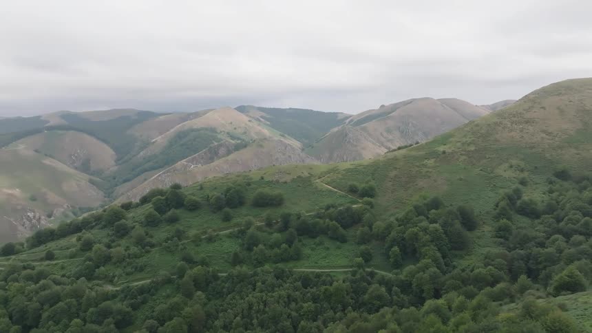 A static aerial view of a verdant forest covering rolling hills with a vast mountain range in the background under a cloudy sky