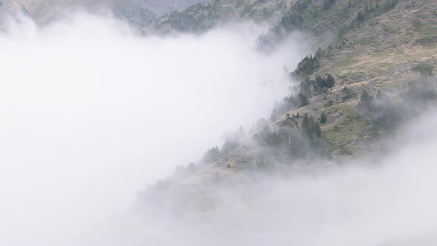 A static high-angle shot shows a tranquil green mountainside partially obscured by a dense sea of fog