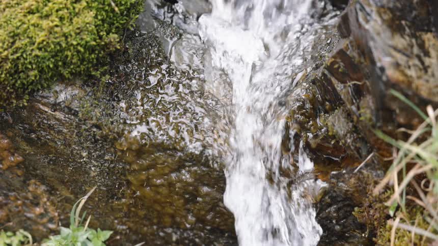 A close-up slow-motion shot of a small stream of clear water flowing over mossy rocks in nature