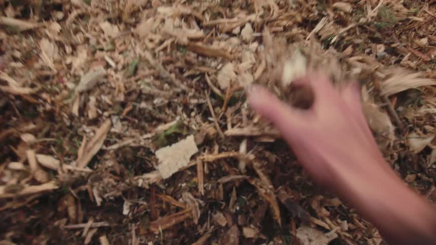 A first-person point of view of a person spreading fresh wood chip mulch in their backyard garden