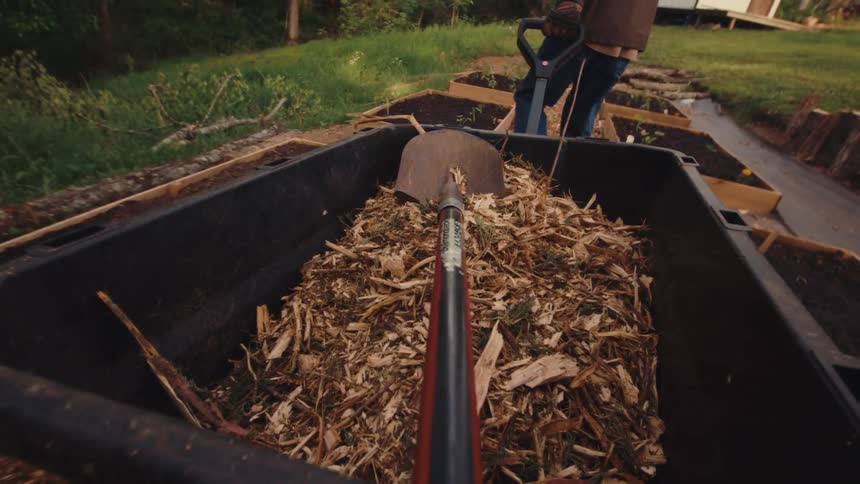 A unique point-of-view shot from inside a garden cart filled with fresh wood chips as a gardener pushes it past raised garden beds