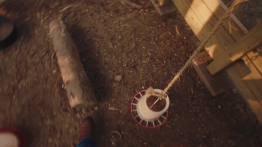 POV shot of a farmer entering a chicken coop, hanging a full feeder, and carrying out an empty waterer during golden hour