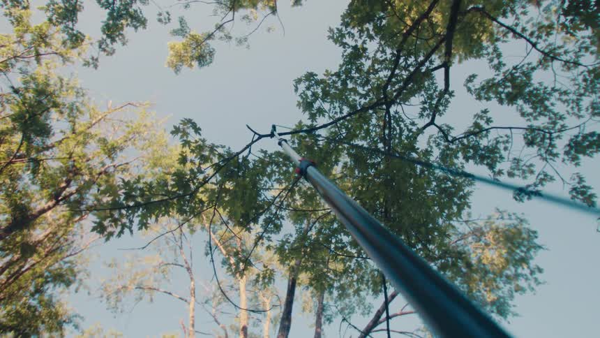 A first-person point-of-view shot of a person using a long pole saw to trim a high tree branch, which then falls down