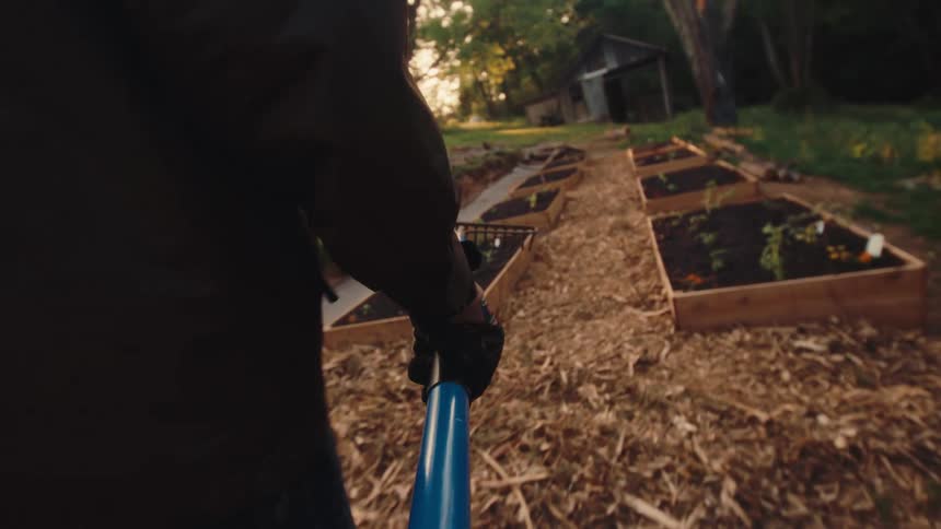 A slow-motion, over-the-shoulder shot of a person walking through a field carrying a rake towards their raised garden beds