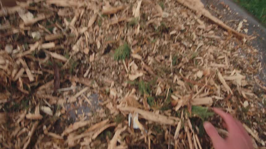 A shaky, first-person perspective shows hands frantically digging and sifting through wood chips on the ground in slow motion