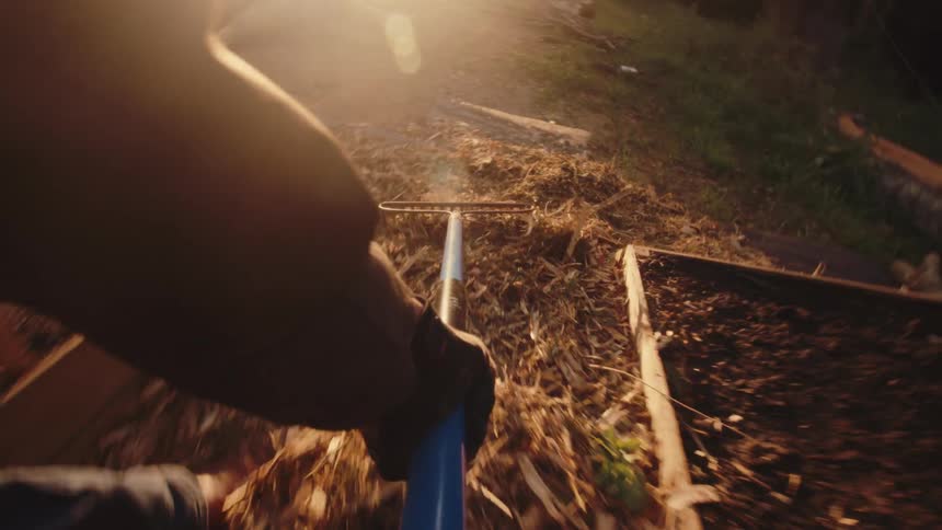 A first-person view of a gardener raking fresh mulch between raised garden beds during a golden sunset