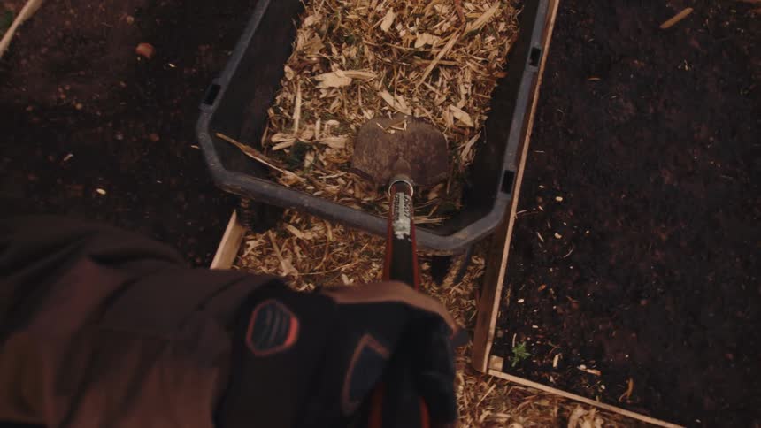 A first-person POV of a gardener pushing a wheelbarrow and shoveling wood chips in a backyard garden