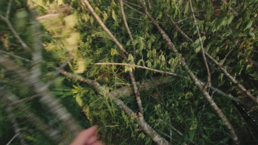 First-person perspective of a man clearing fallen branches and brush from a grassy field