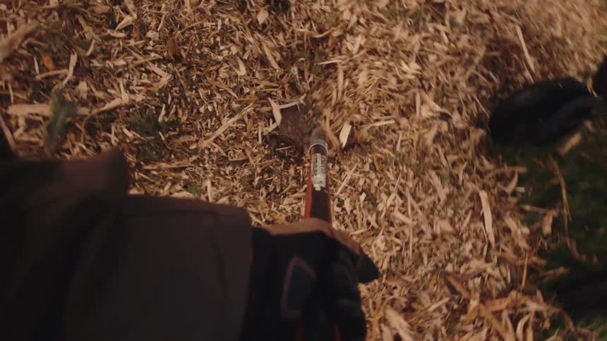 A first-person perspective of a person in work gloves shoveling wood chip mulch into a wheelbarrow during yard work on a farm