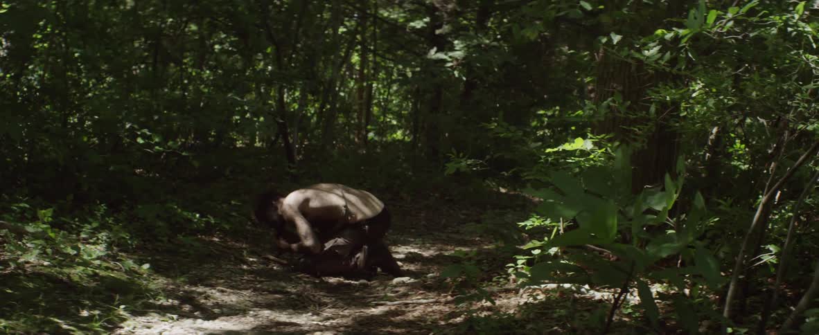 A person is crouched down in this forest trail