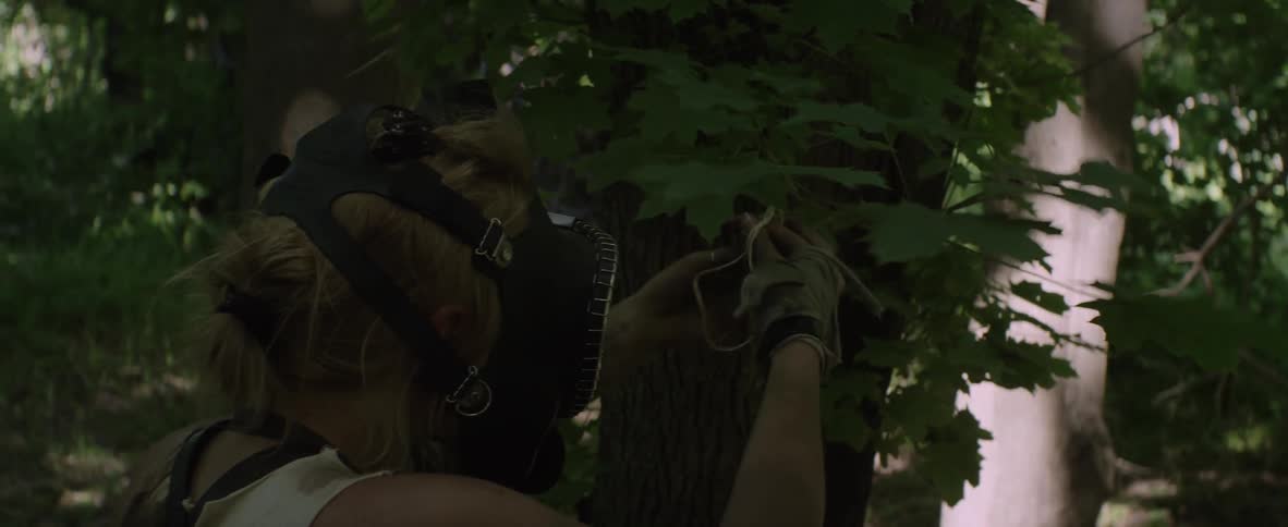 A person with a mask on walking through the woods and picking at a small vine