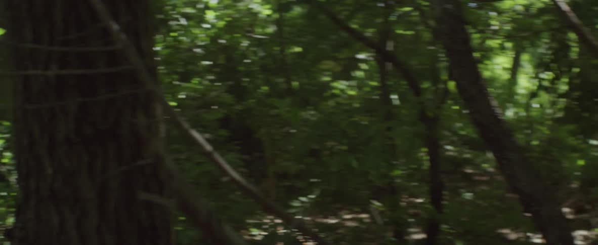 A woman with a gas mask races through the woods