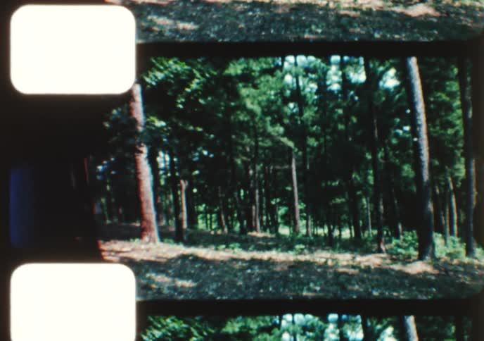 Vintage 8mm footage captures an adventurous outdoor trip with camping, forest motorcycling, and skydiving