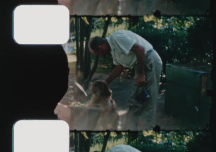 A vintage film strip shows a zookeeper gently petting a young lion in an outdoor enclosure
