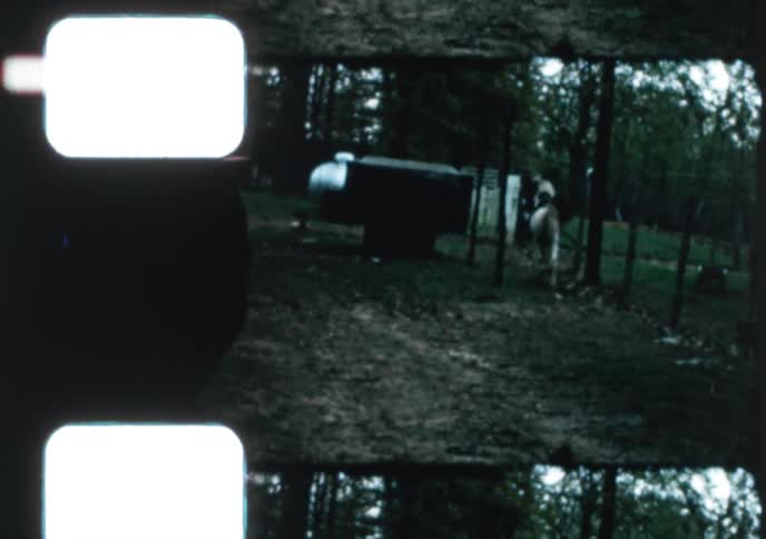 Vintage 8mm film captures a playful black and white pony running freely through a grassy, wooded field