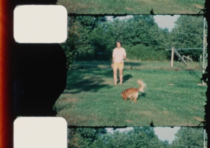 Vintage 8mm film shows a woman playing fetch with her fluffy dog in a grassy backyard on a sunny day
