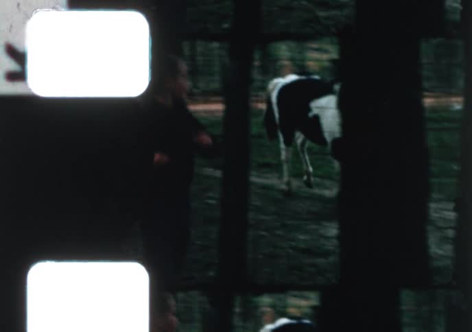 A young boy playfully runs alongside his spirited pinto pony in a wooded yard in this authentic vintage 8mm home movie