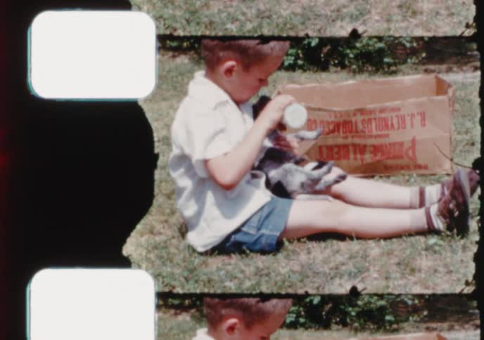 A young boy sits in the grass on a sunny day and lovingly feeds a small puppy with a bottle in this charming vintage footage