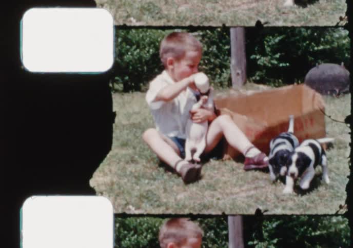 Vintage home movie captures a young boy sitting in the grass, playfully feeding a tiny puppy from a baby bottle on a sunny day