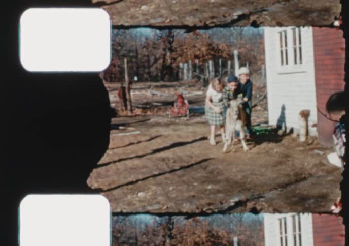 Archival footage shows a group of children and a man playing with a small donkey in their backyard