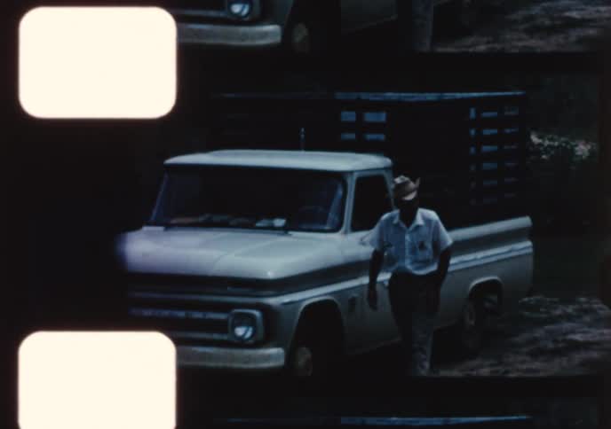 A nostalgic 1960s film strip montage shows a family with classic cars and a dog during a day in the country