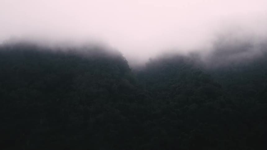 A mysterious and moody view of thick fog slowly covering a dark forest mountain range