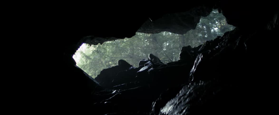 A view from inside a dark cave looks out through the opening to a dense, green forest