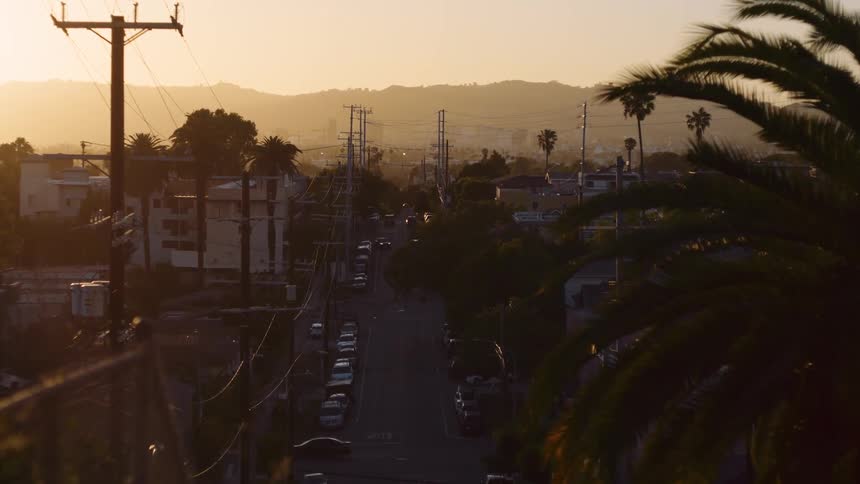 A slow pan reveals a hazy, golden sunset over a quiet residential street in a city lined with palm trees and cars